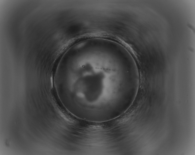 X0000093220061200709261640