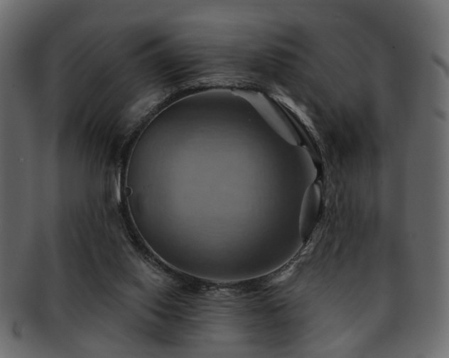 X0000093220062200709261640