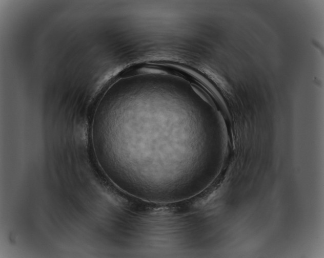 X0000093220064200709261640