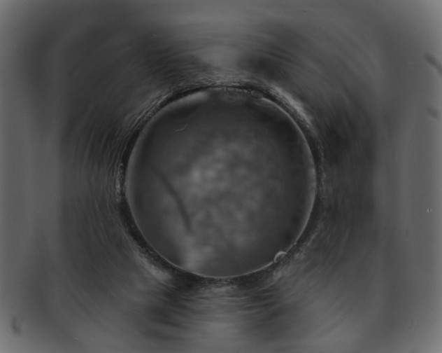 X0000093220065200709261640