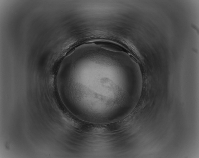 X0000093220066200709261640