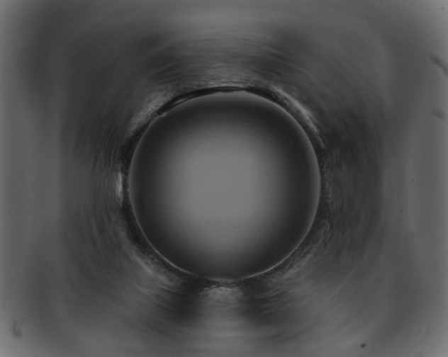 X0000093220067200709261640