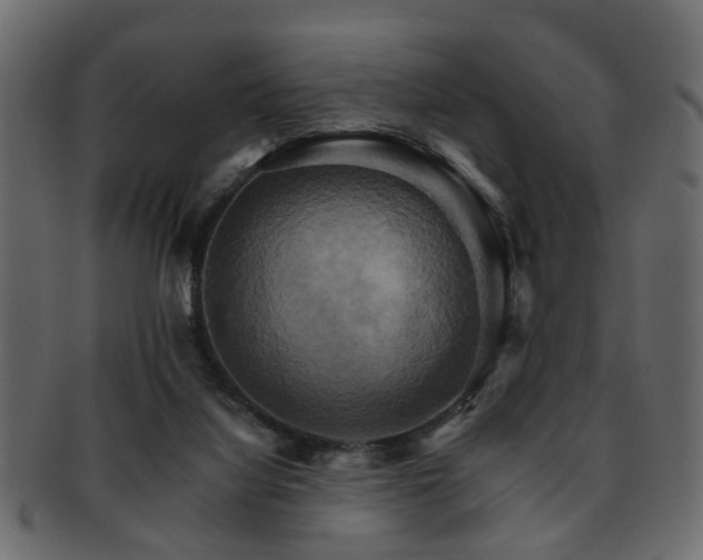 X0000093220068200709261640