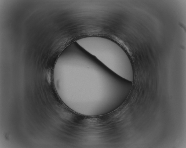 X0000093220069200709261640