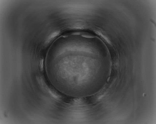 X0000093220070200709261640