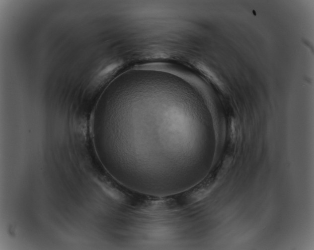 X0000093220072200709261640