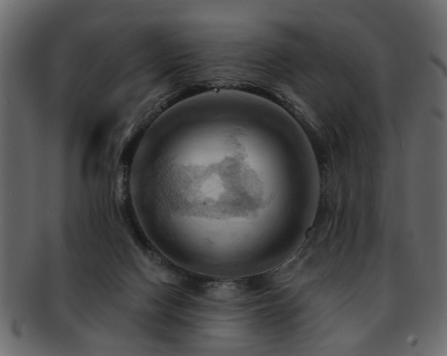 X0000093220074200709261640