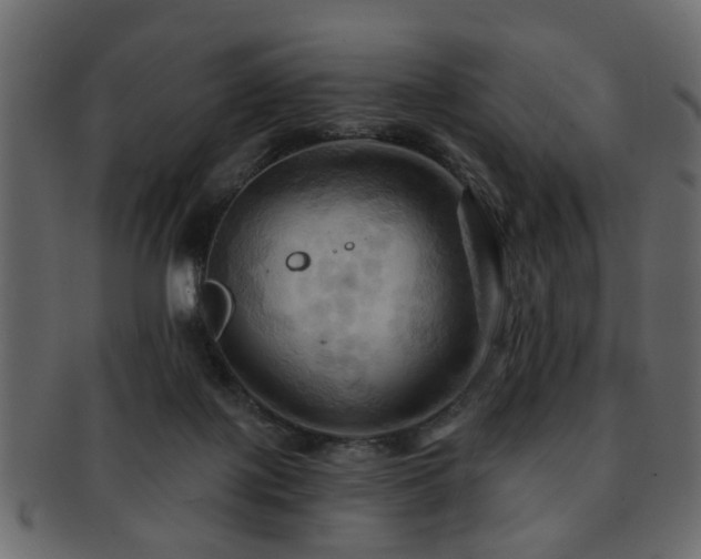 X0000093220075200709261640