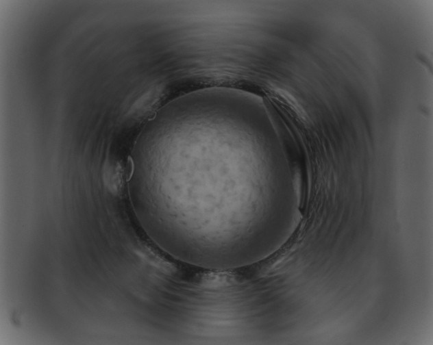 X0000093220077200709261640