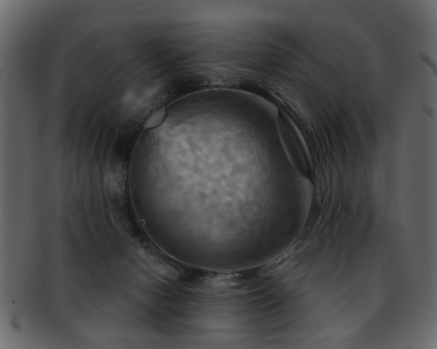 X0000093220078200709261640