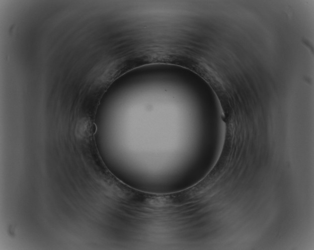 X0000093220079200709261640