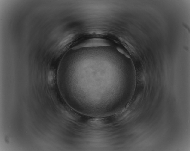 X0000093220082200709261640