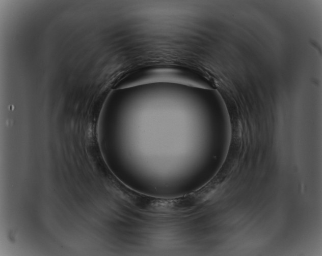 X0000093220084200709261640