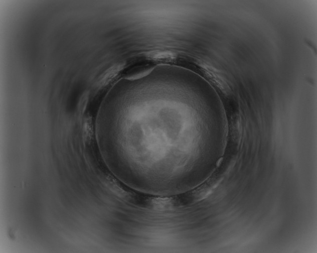 X0000093220085200709261640