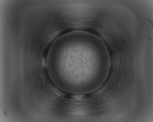 X0000093220089200709261640