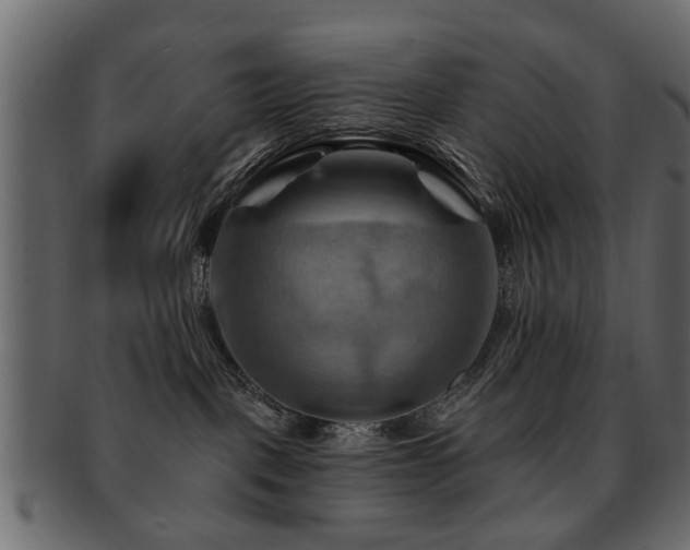 X0000093220093200709261640