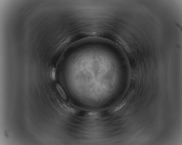 X0000093220095200709261640