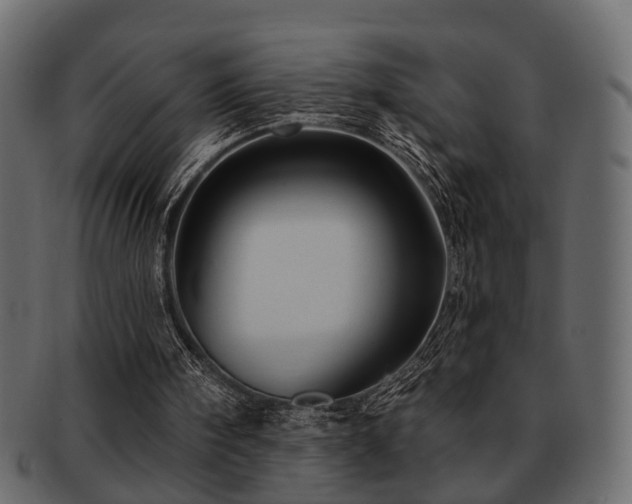 X0000093220098200709261640