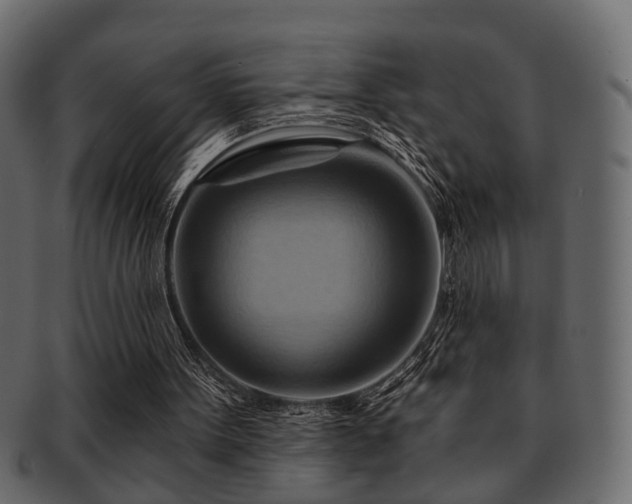 X0000093220099200709261640