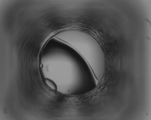 X0000093220100200709261640