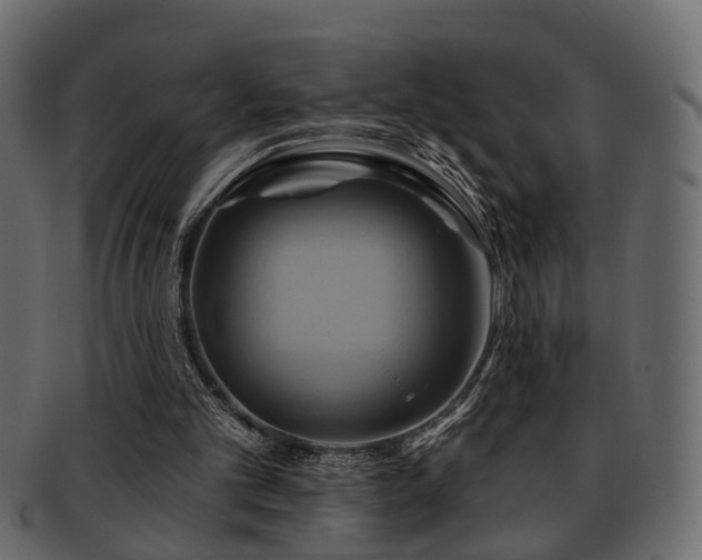 X0000093220101200709261640