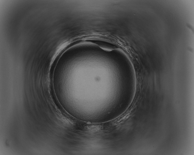 X0000093220102200709261640