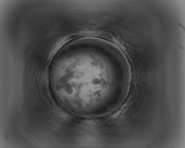 X0000093220103200709261640