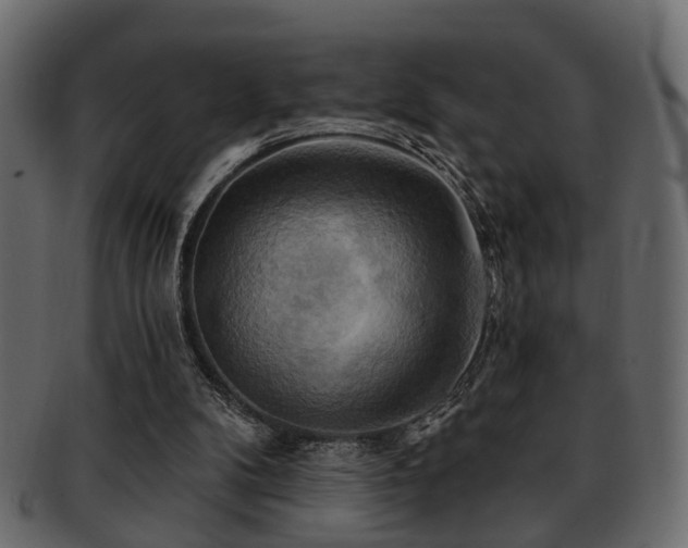 X0000093220104200709261640