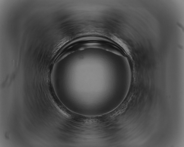 X0000093220105200709261640