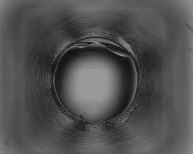 X0000093220106200709261640