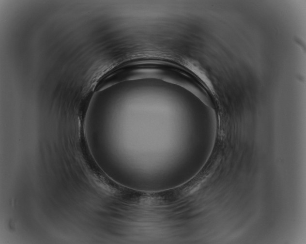 X0000093220109200709261639