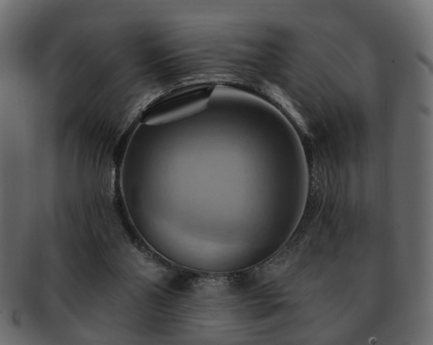 X0000093220110200709261639