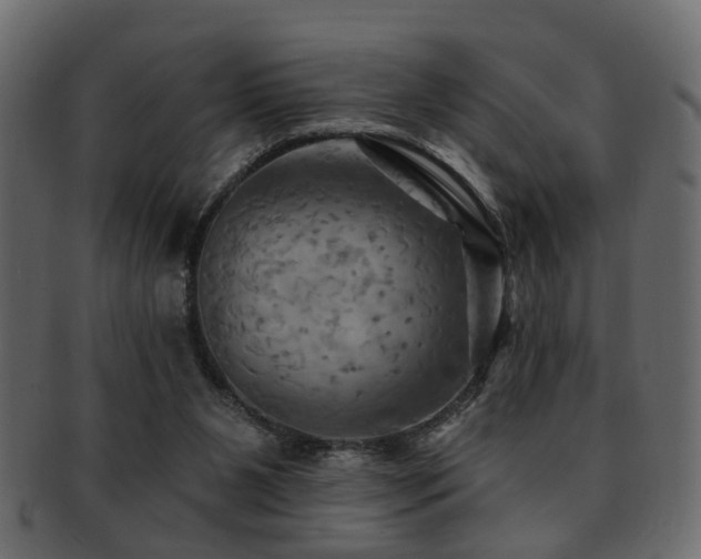 X0000093220111200709261639