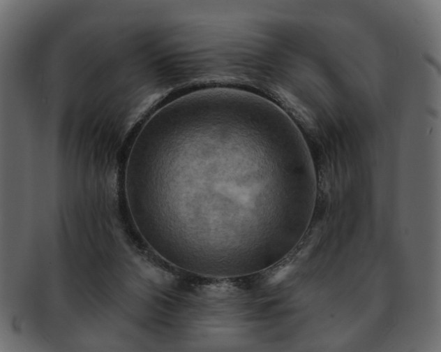 X0000093220112200709261639