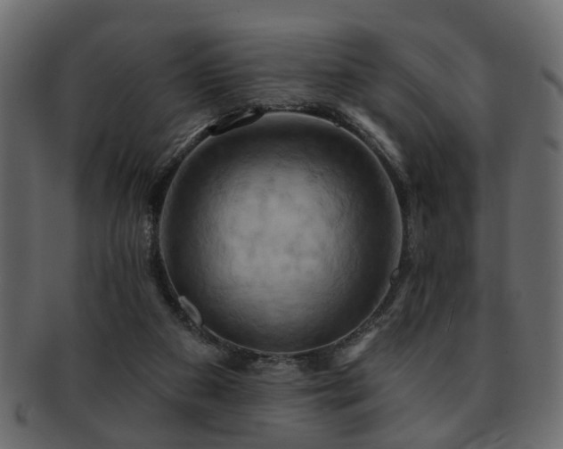 X0000093220113200709261639