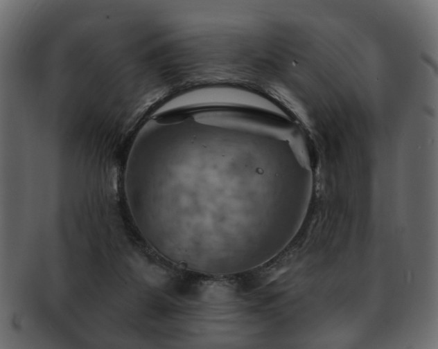 X0000093220115200709261639