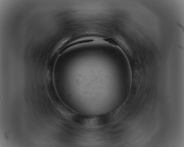 X0000093220116200709261639