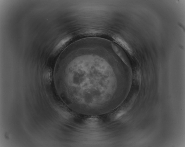 X0000093220119200709261639