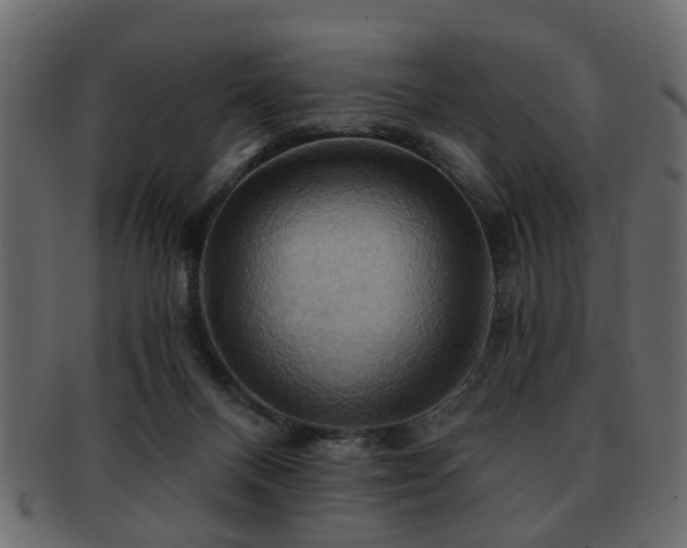 X0000093220120200709261639