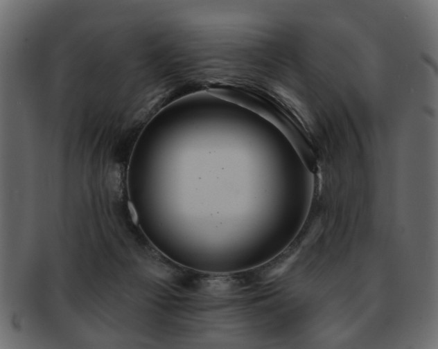 X0000093220121200709261639