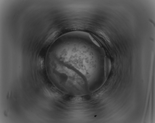 X0000093220123200709261639