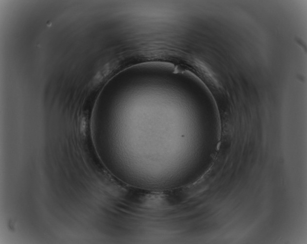 X0000093220124200709261639