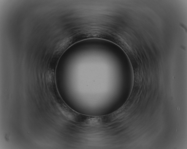 X0000093220126200709261639