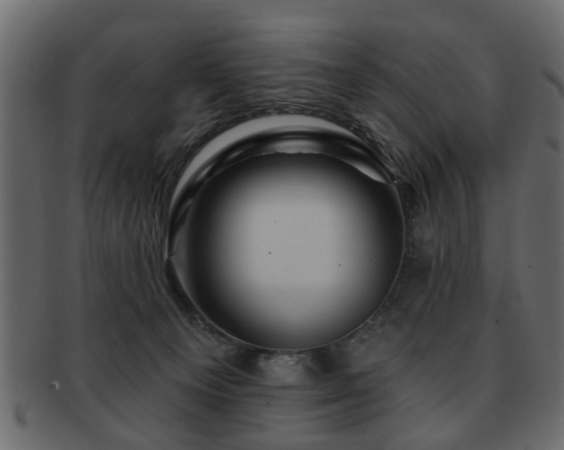 X0000093220129200709261639