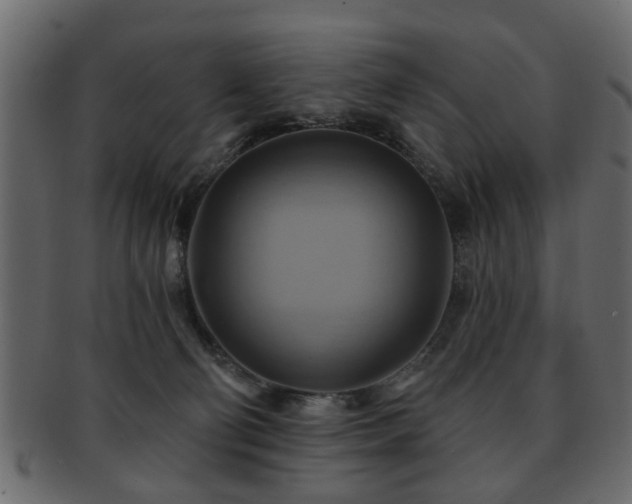 X0000093220130200709261639