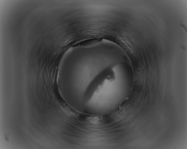 X0000093220131200709261639