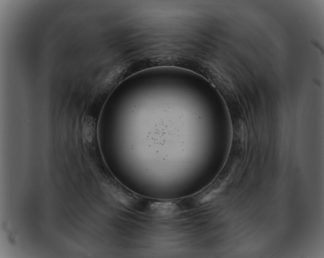 X0000093220133200709261639