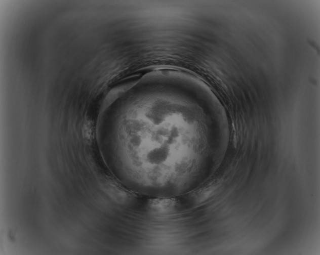 X0000093220135200709261639