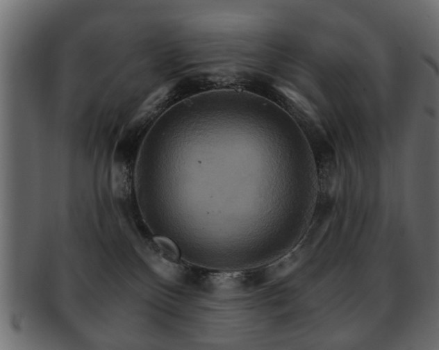 X0000093220136200709261639