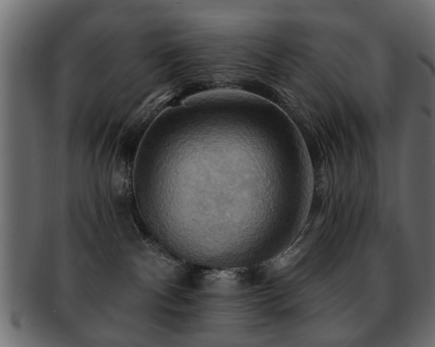 X0000093220140200709261639